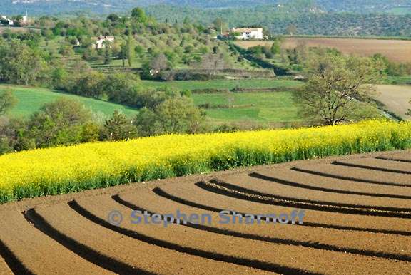 fields and house 2 graphic